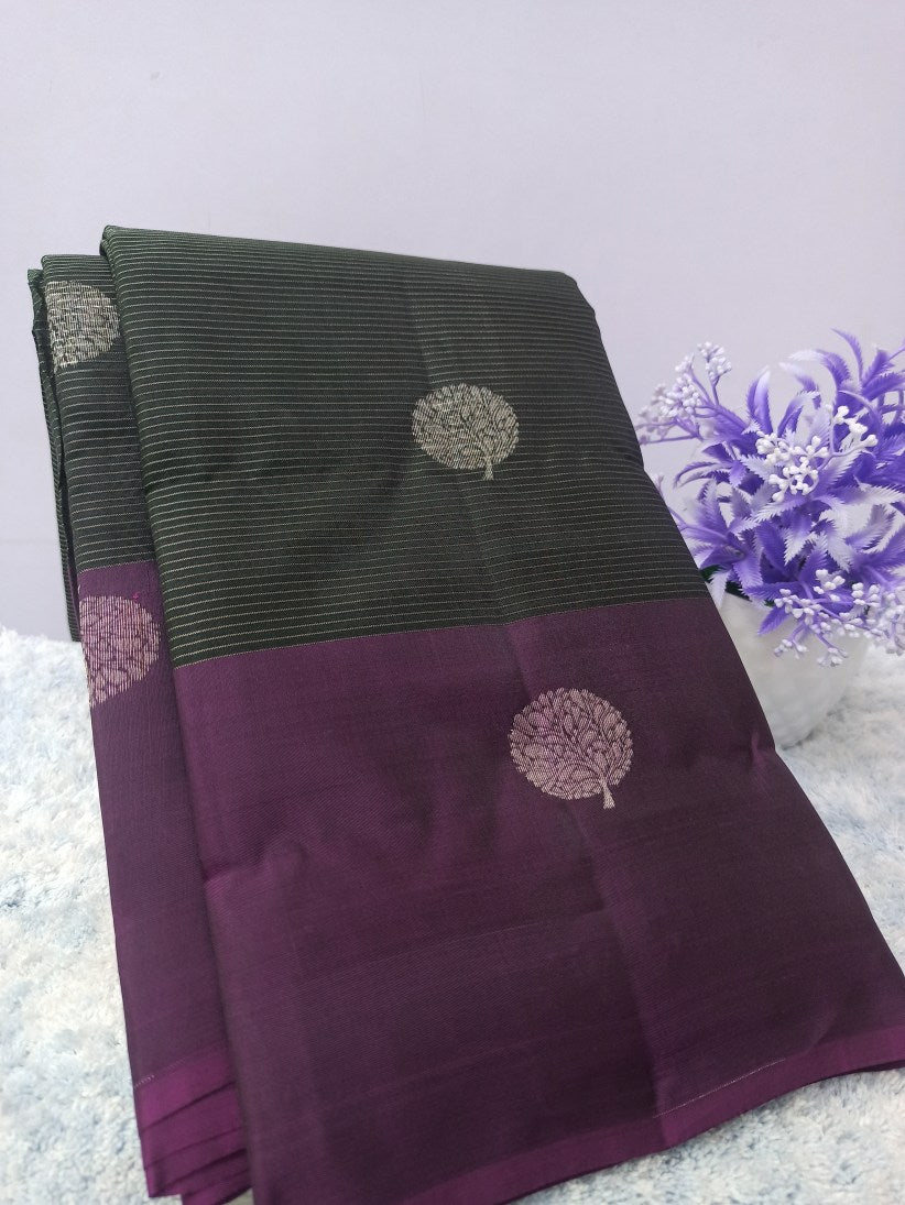 Kanchi Mix Silk Saree