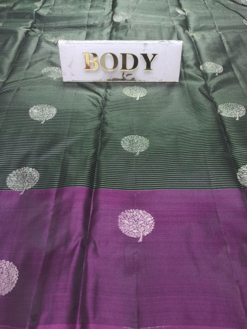 Kanchi Mix Silk Saree