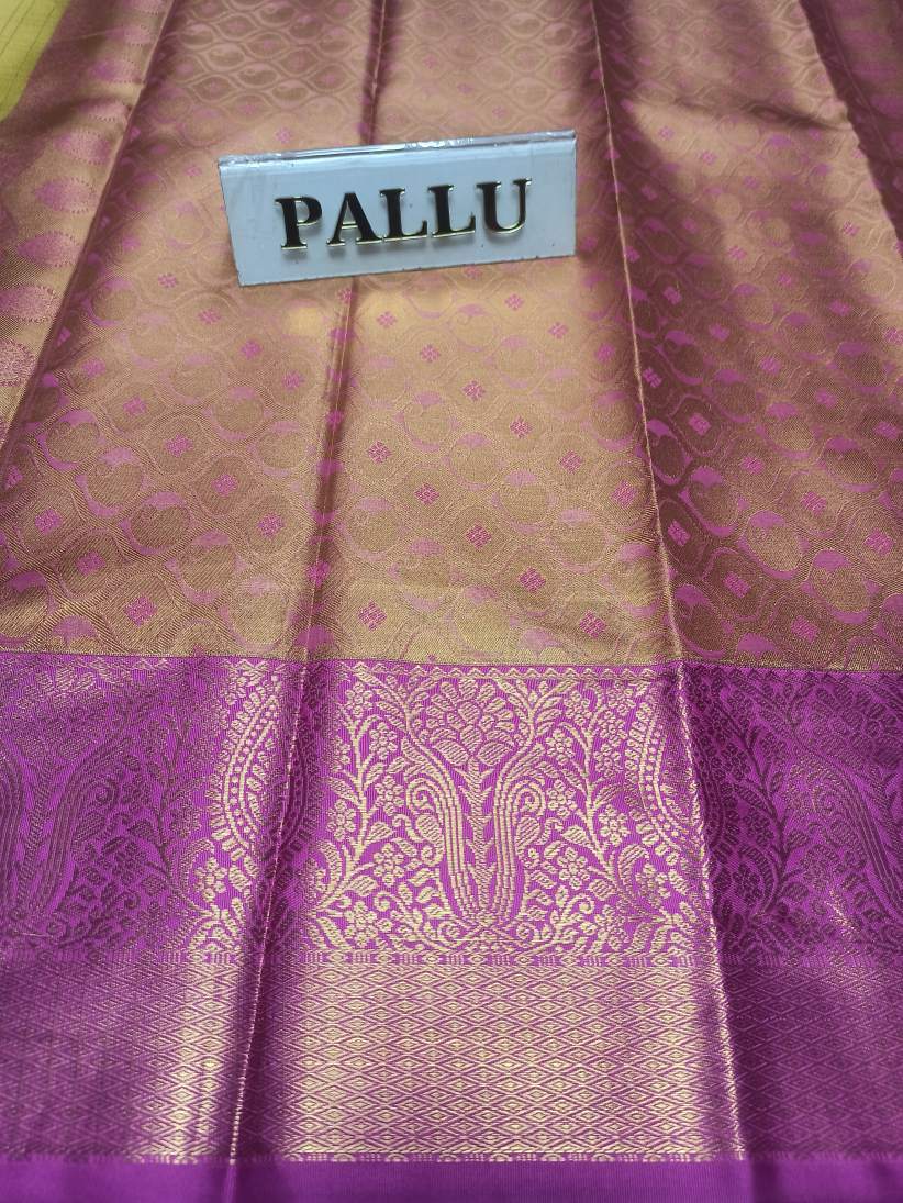 Kanchi Mix Silk Saree