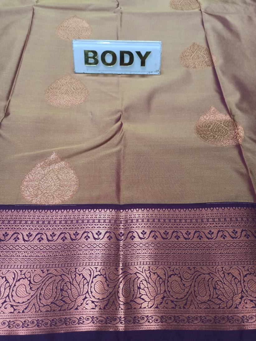 Kanchi Mix Silk Saree