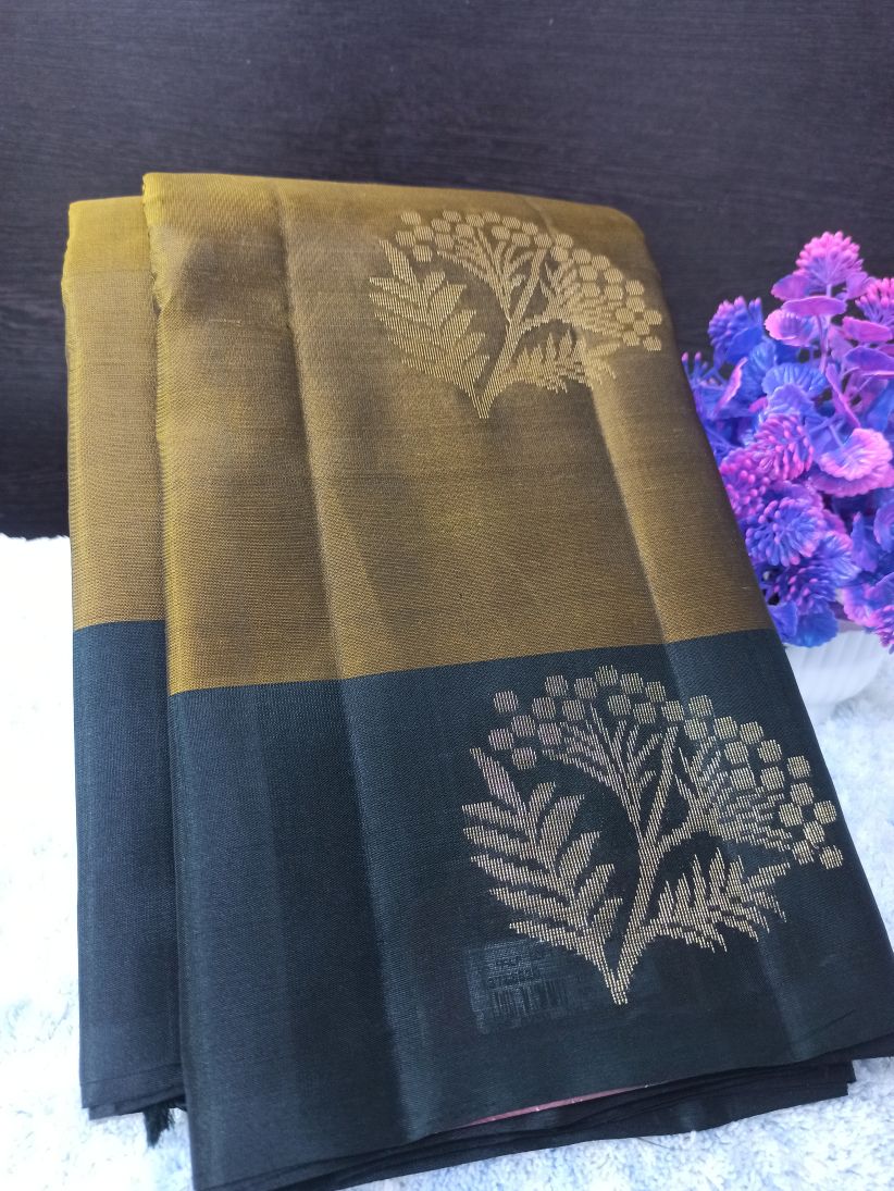 Kanchi Mix Silk Saree