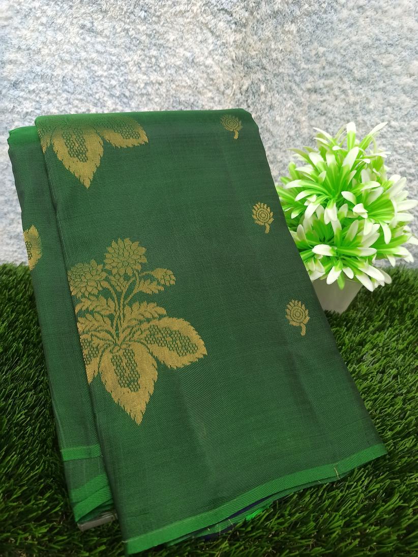 Kanchi Mix Silk Saree