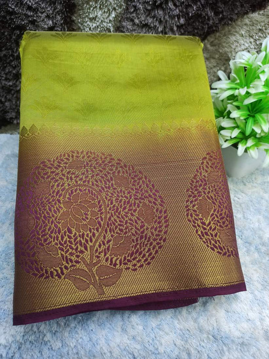 Raw Silk Saree