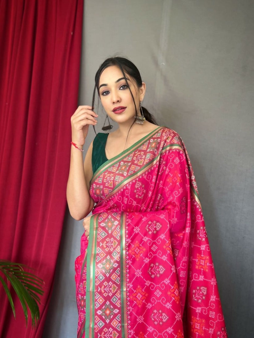 Catalog Designer Saree