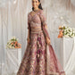 Latest Semi Stitched Tissue Lehenga Choli