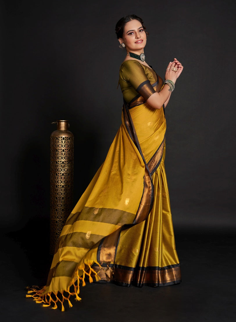 Catalog Designer Saree