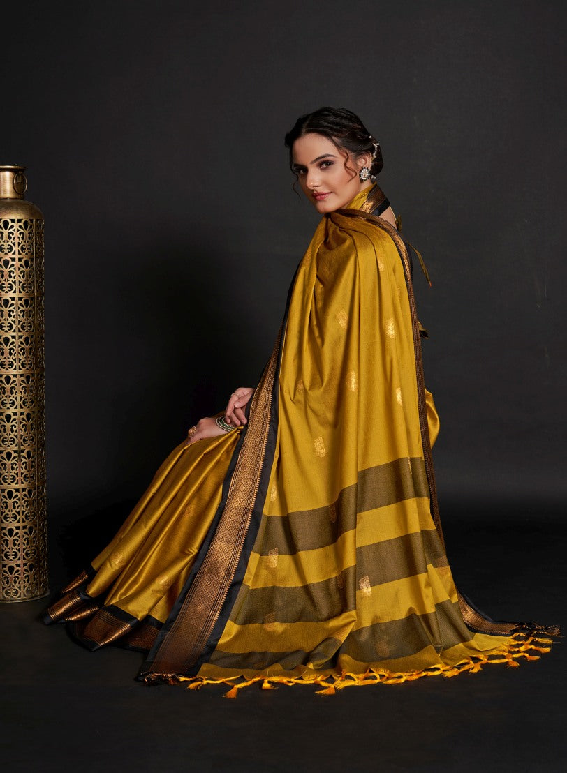 Catalog Designer Saree