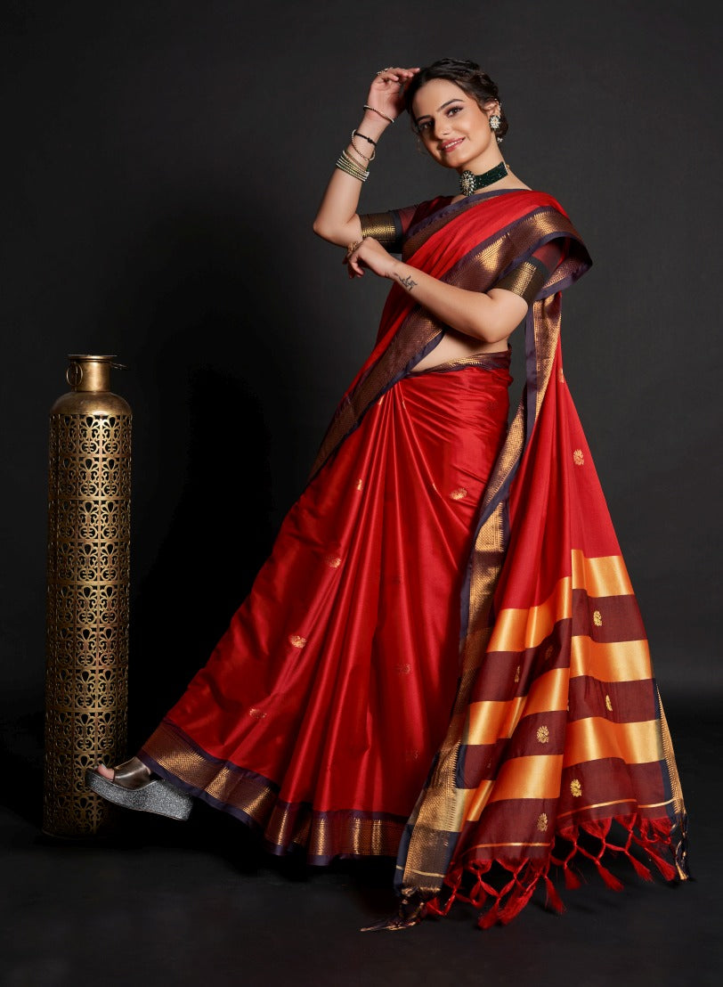 Catalog Designer Saree