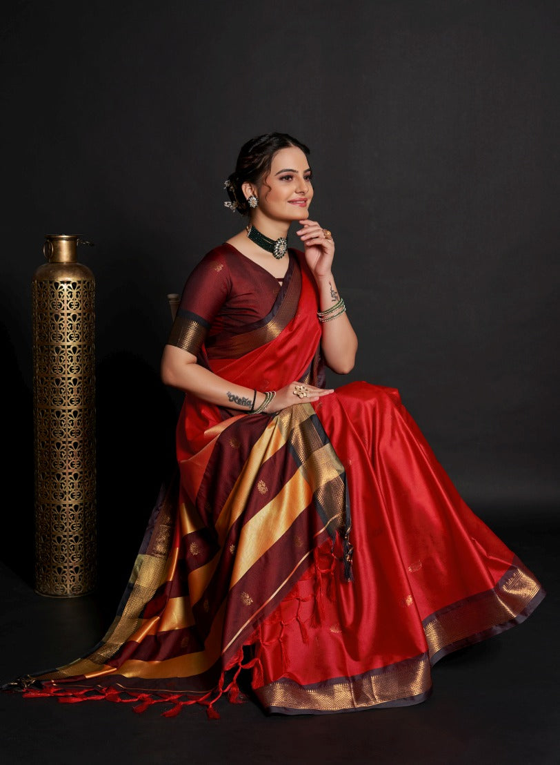 Catalog Designer Saree