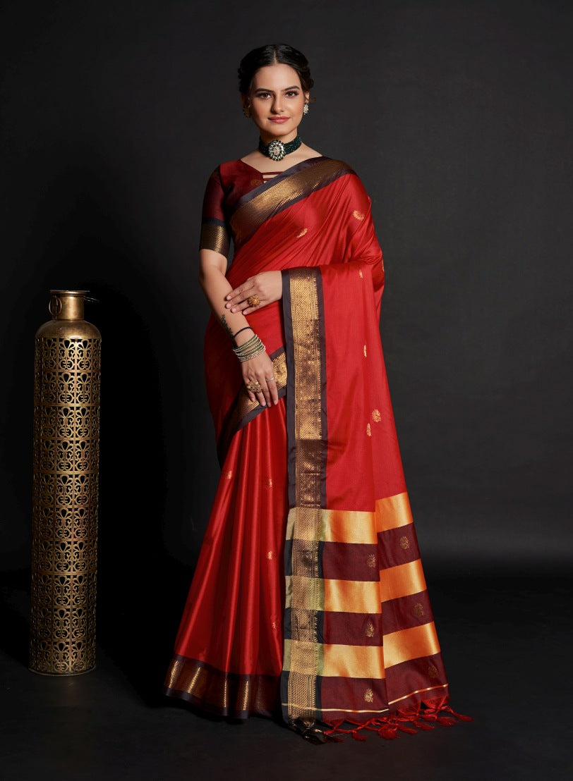 Catalog Designer Saree