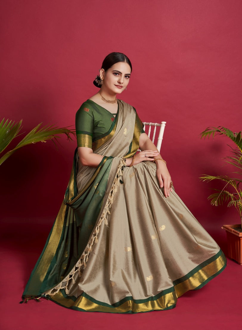 Catalog Designer Saree