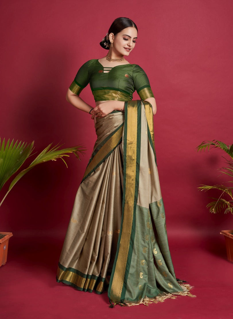 Catalog Designer Saree