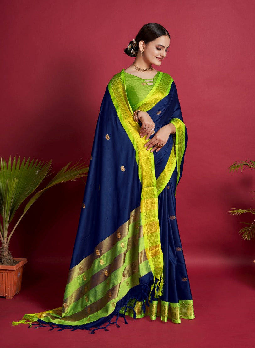 Catalog Designer Saree