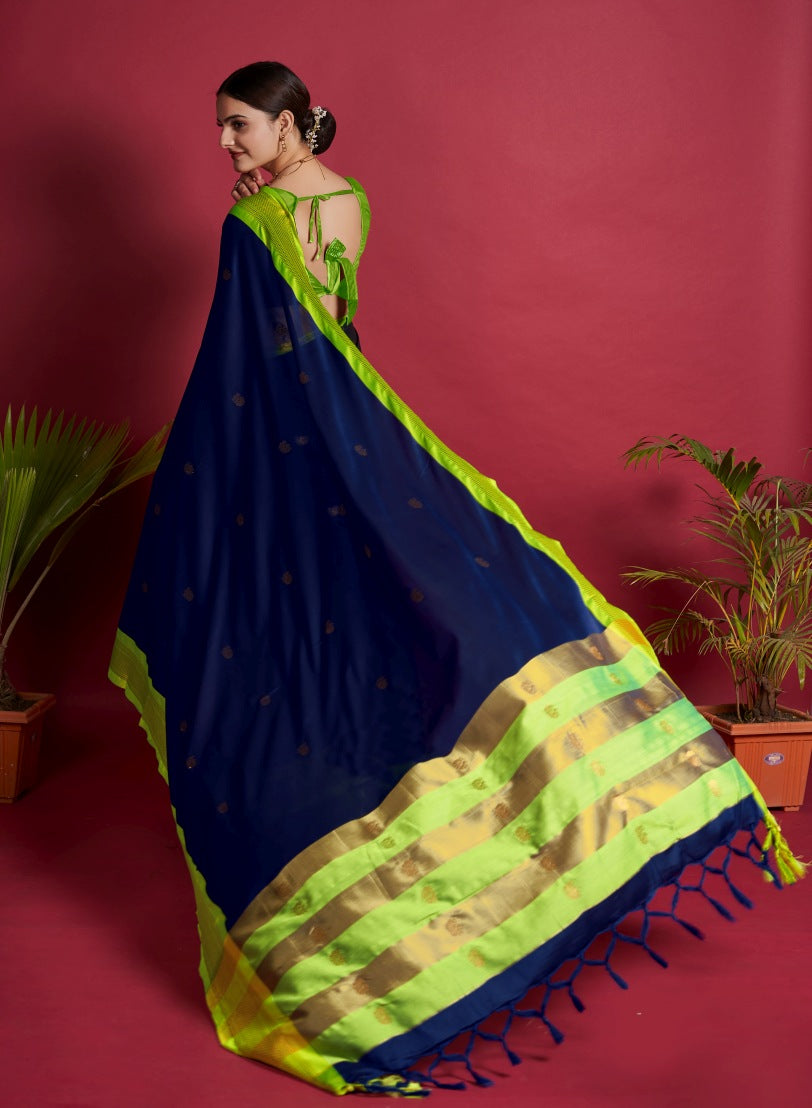 Catalog Designer Saree