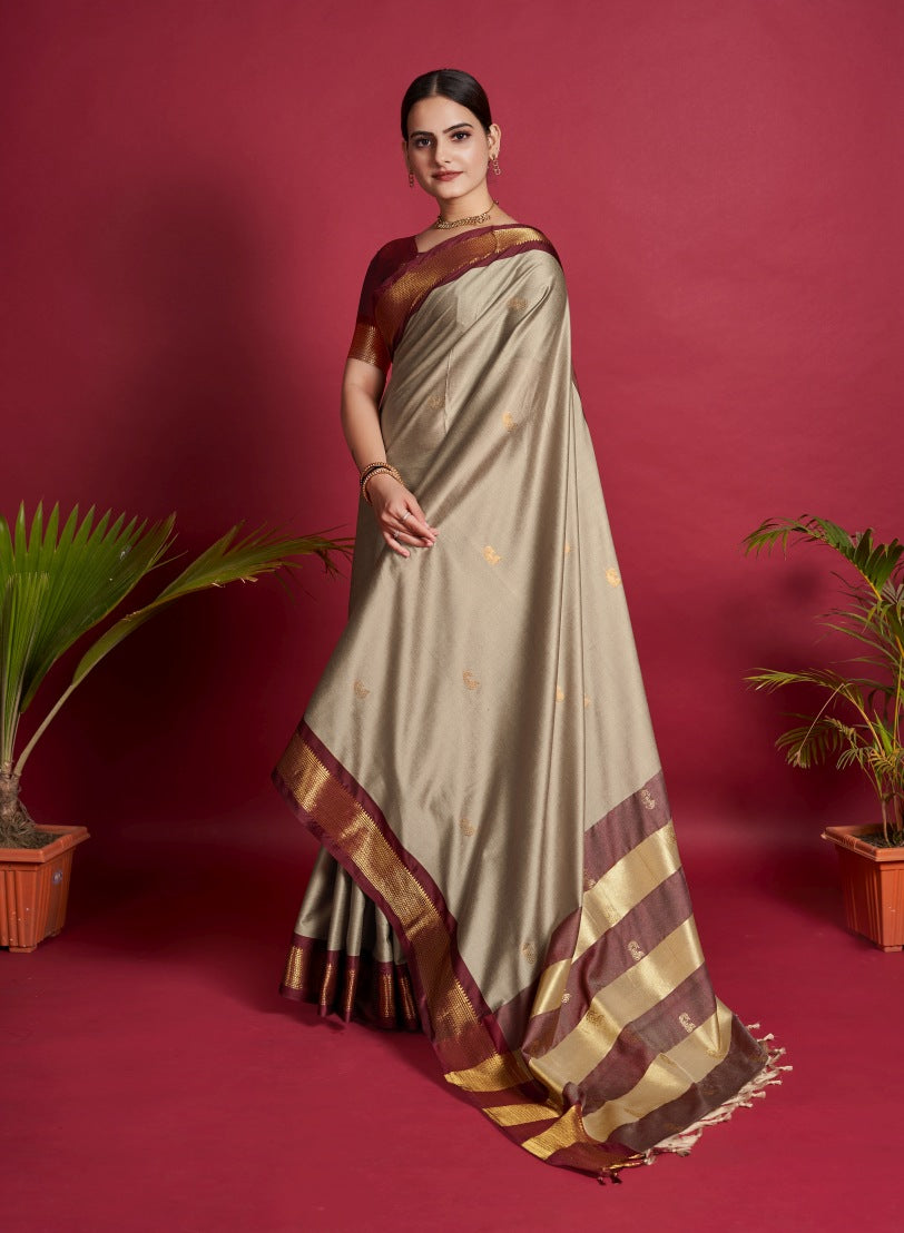 Catalog Designer Saree