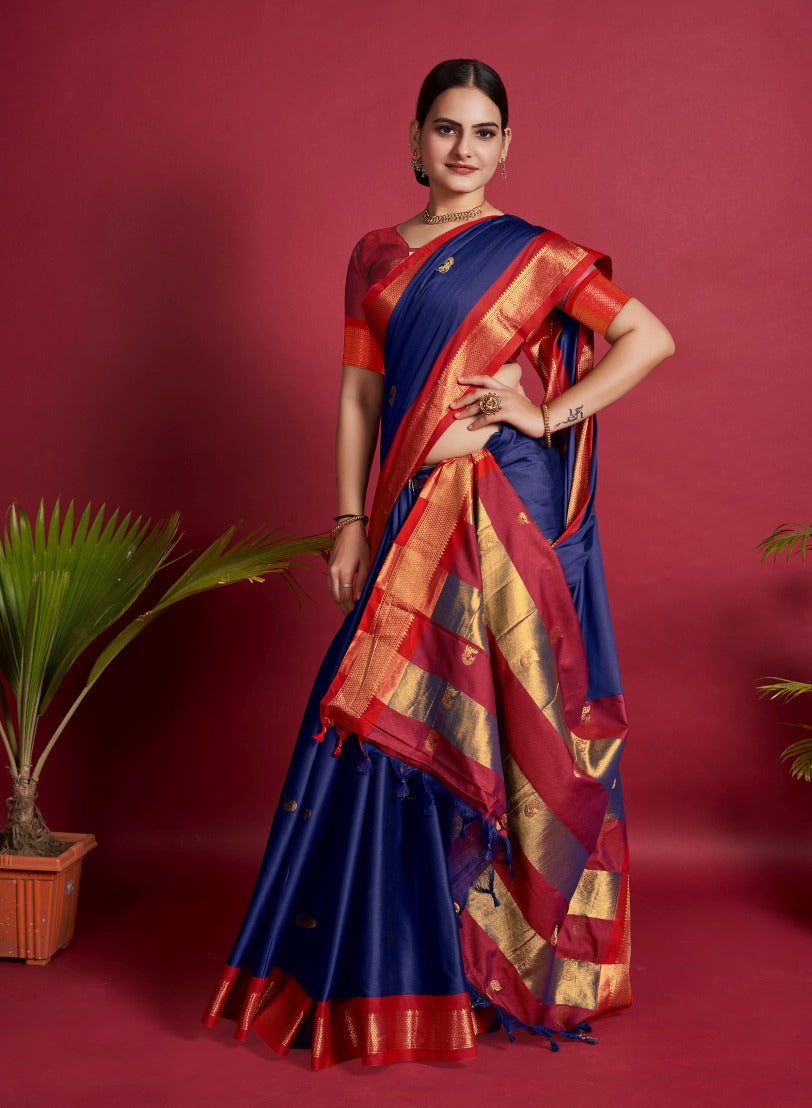 Catalog Designer Saree