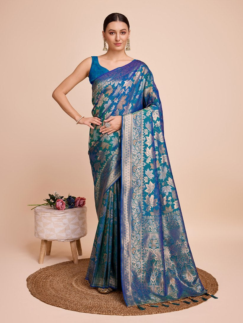 Catalog Designer Saree