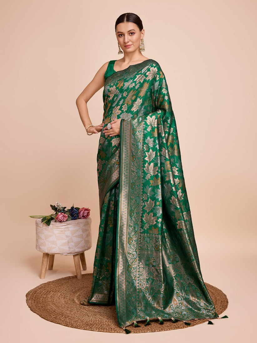 Catalog Designer Saree