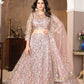 Latest Semi Stitched Lehenga Choli