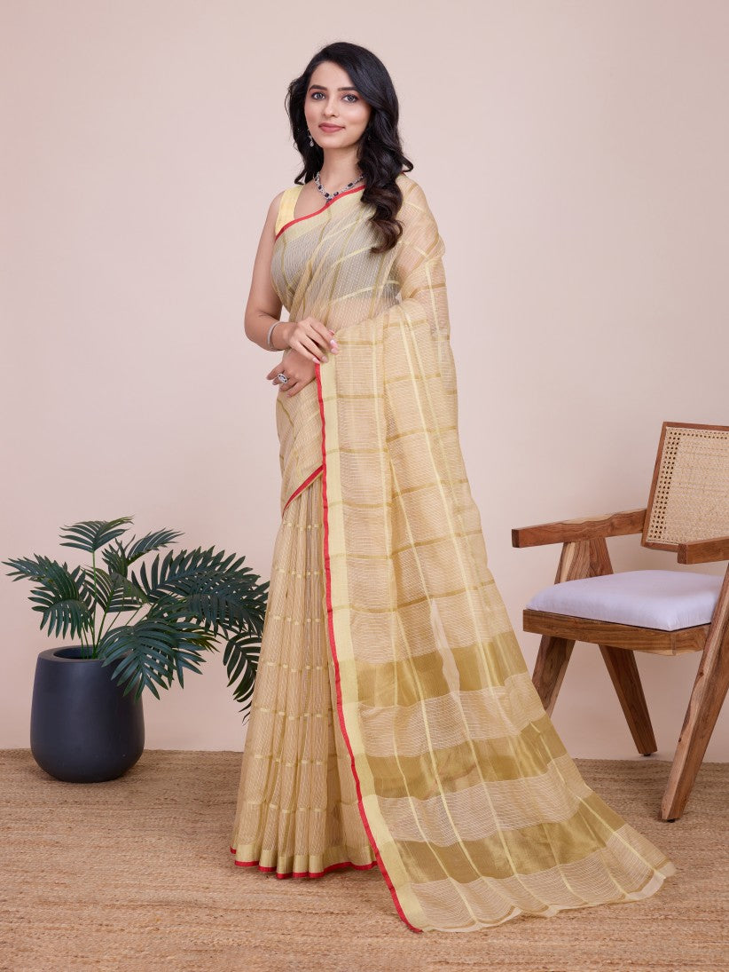 Catalog Designer Saree