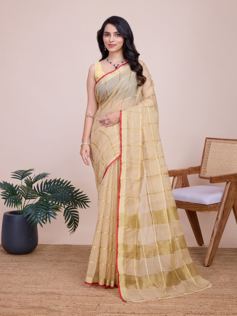 Catalog Designer Saree