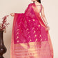 Catalog Designer Saree