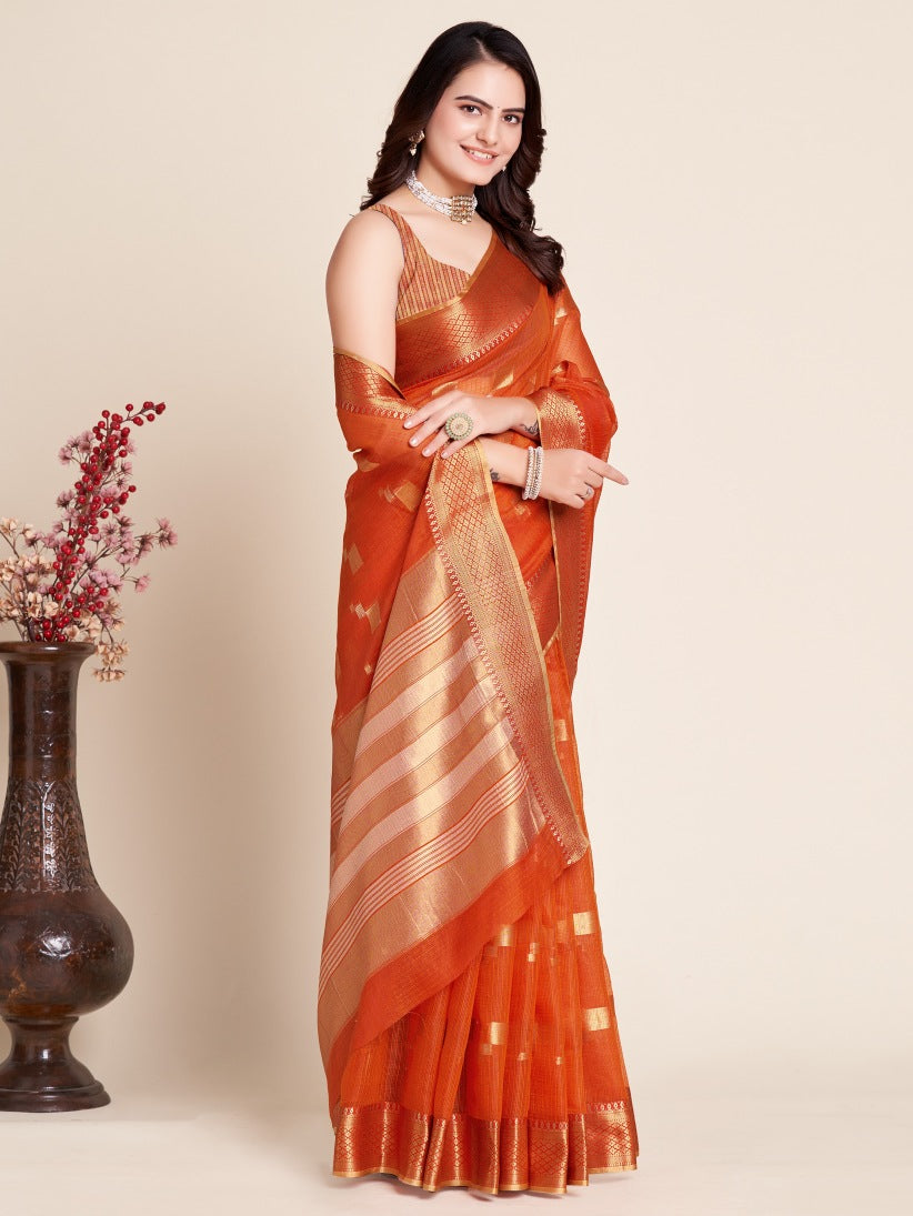 Catalog Designer Saree