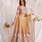 Latest Semi Stitched Lehenga Choli