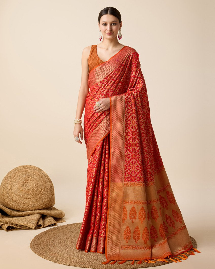 Catalog Designer Saree