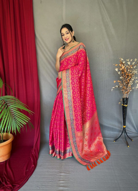 Catalog Designer Saree