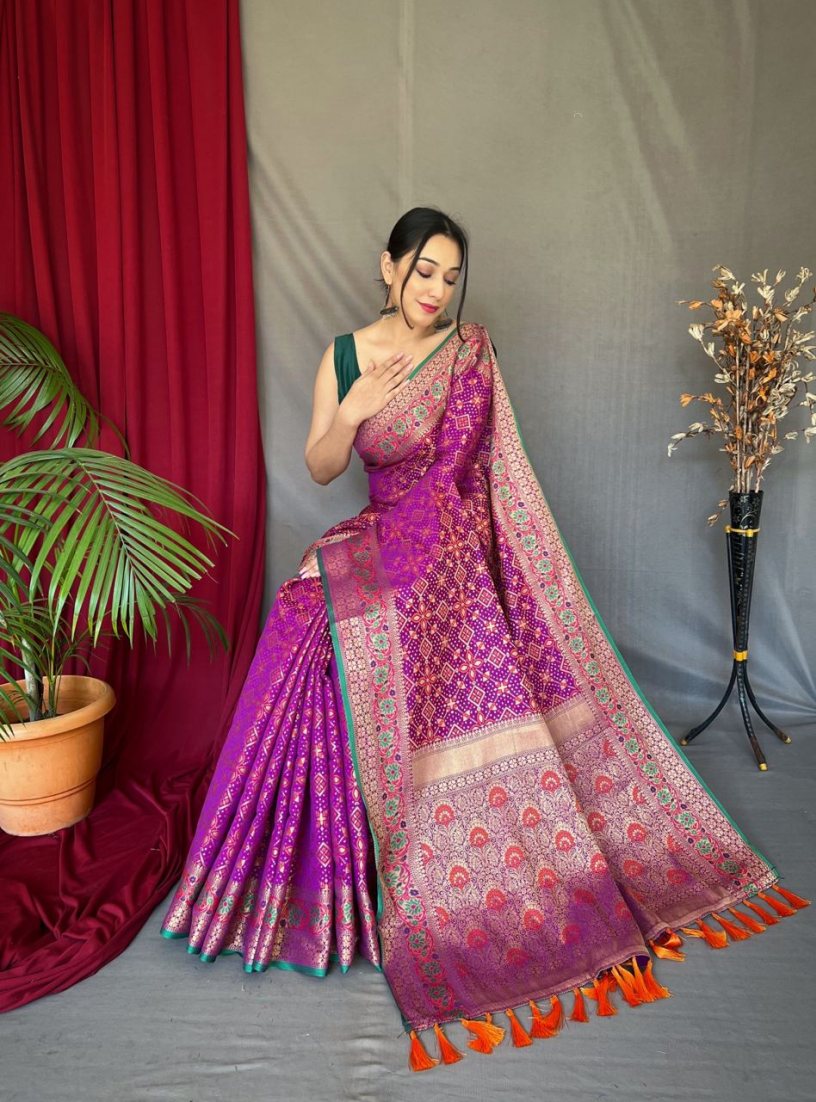 Catalog Designer Saree