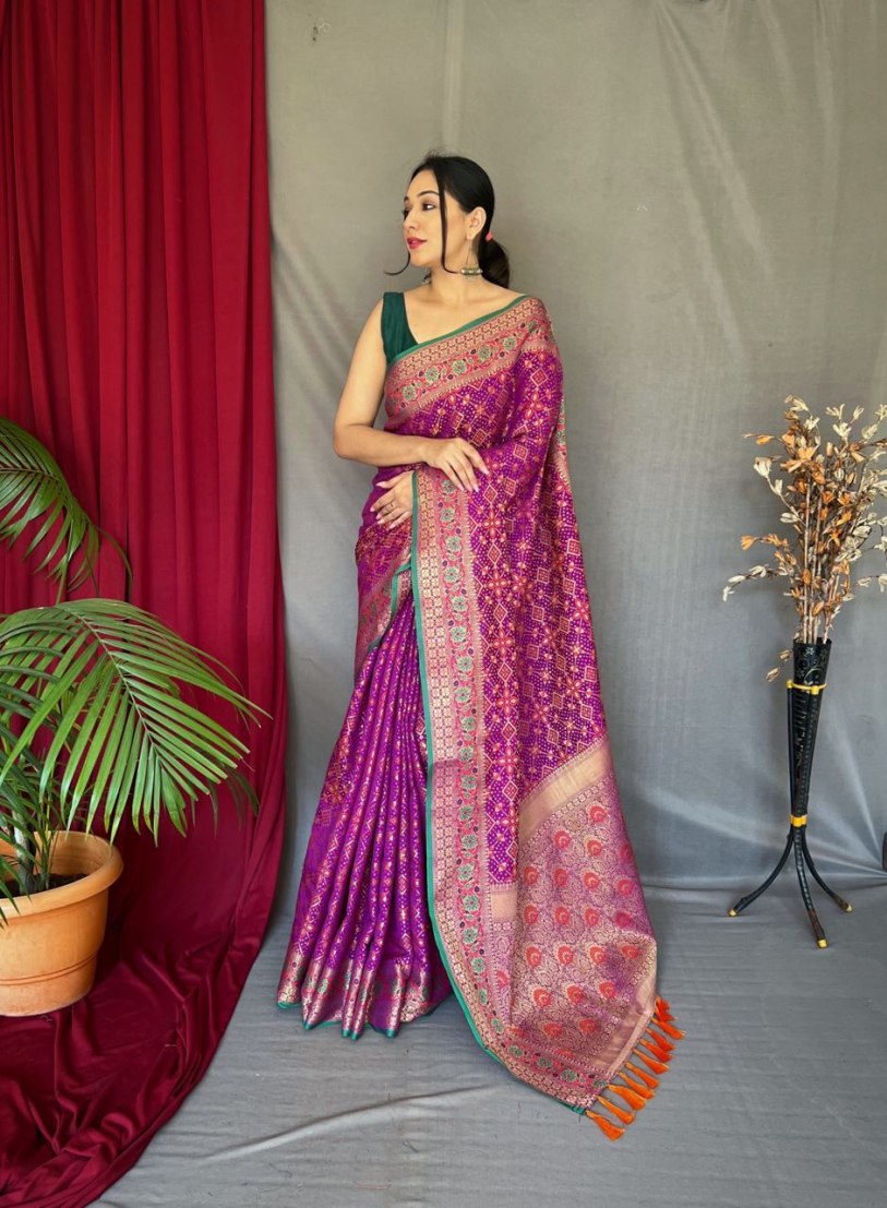 Catalog Designer Saree