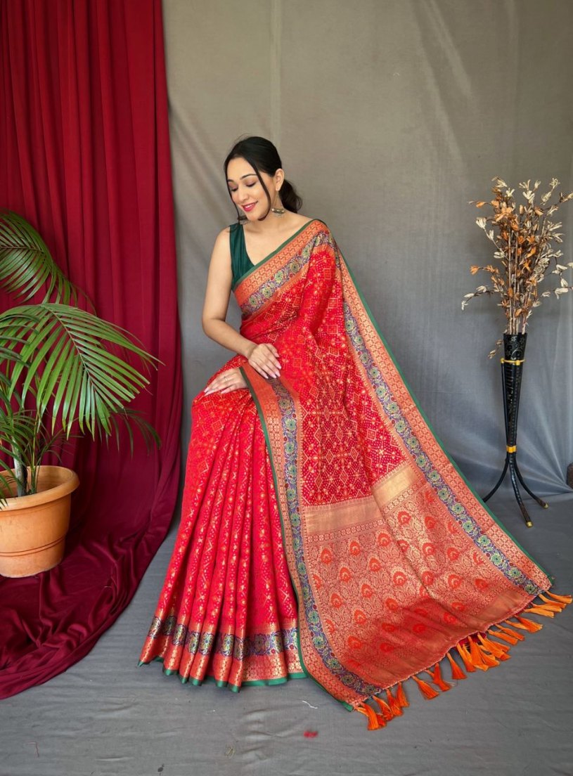 Catalog Designer Saree