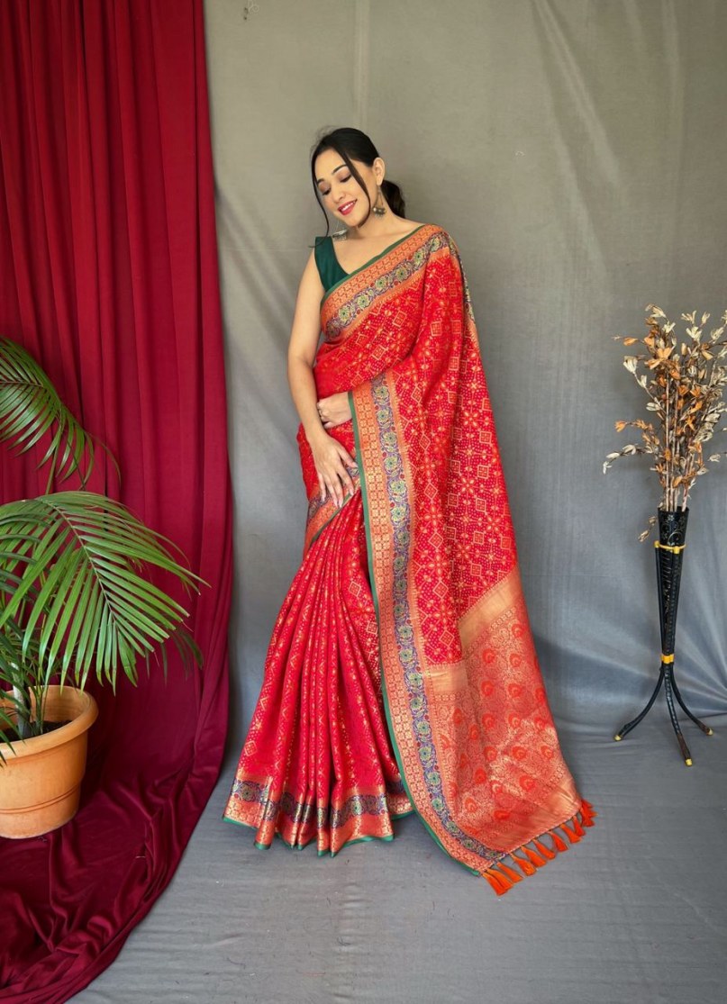 Catalog Designer Saree