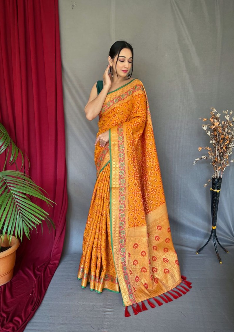 Catalog Designer Saree