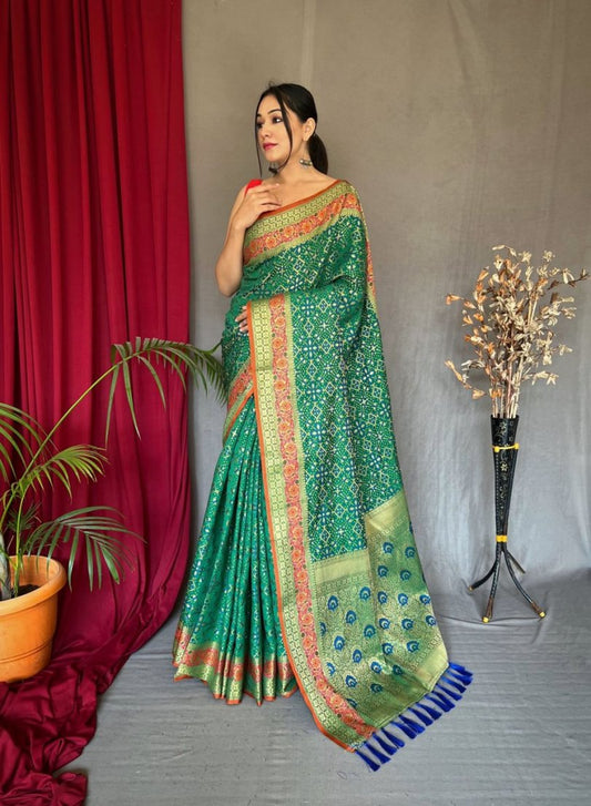 Catalog Designer Saree