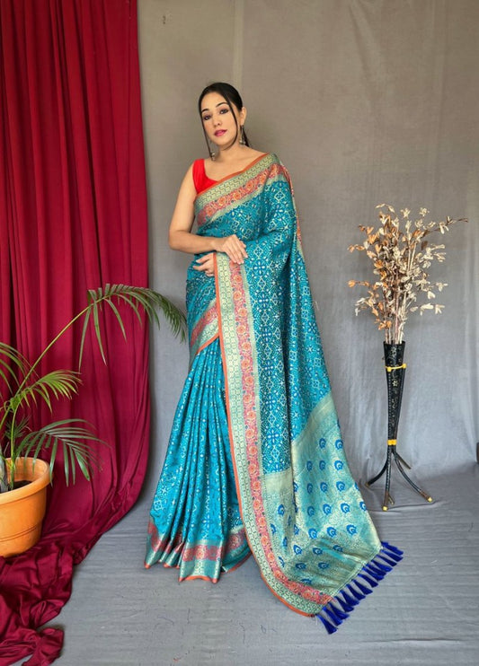 Catalog Designer Saree