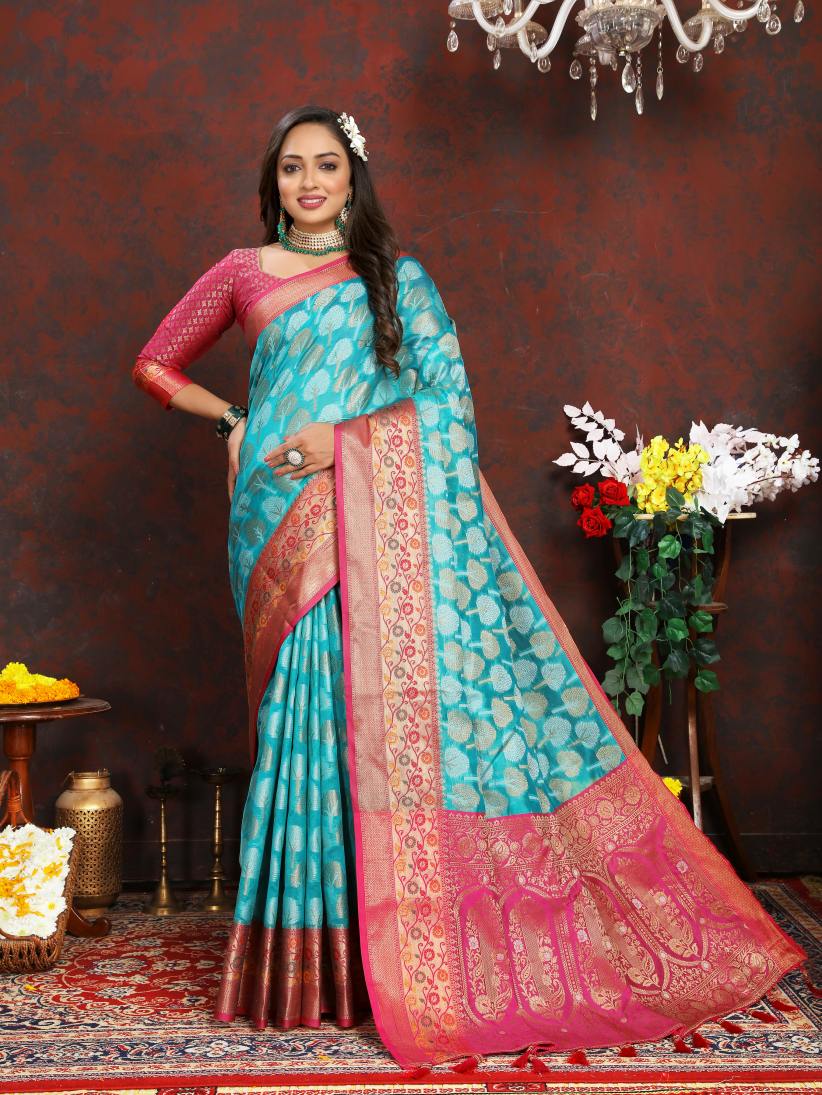 Catalog Designer Saree