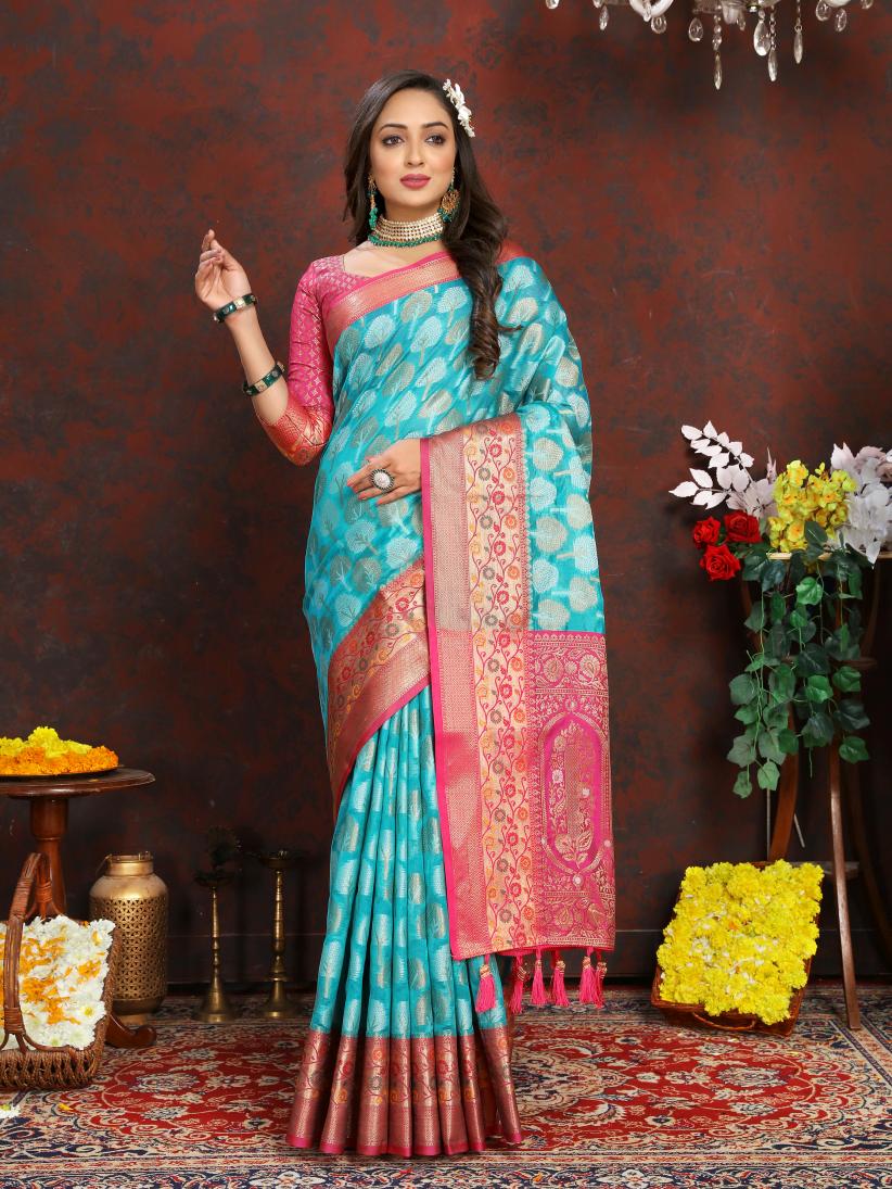 Catalog Designer Saree