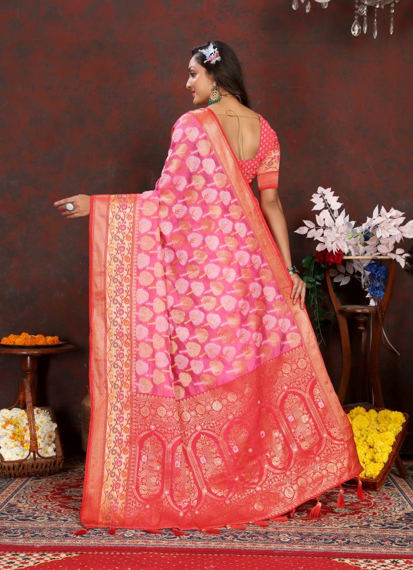 Catalog Designer Saree