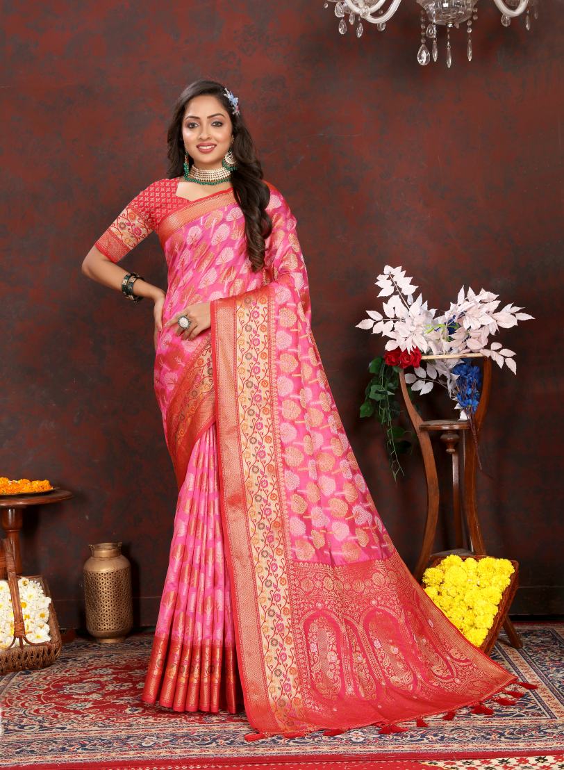 Catalog Designer Saree