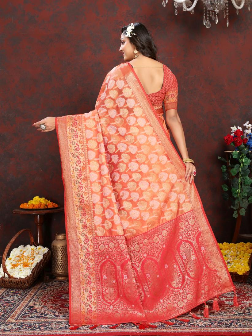 Catalog Designer Saree