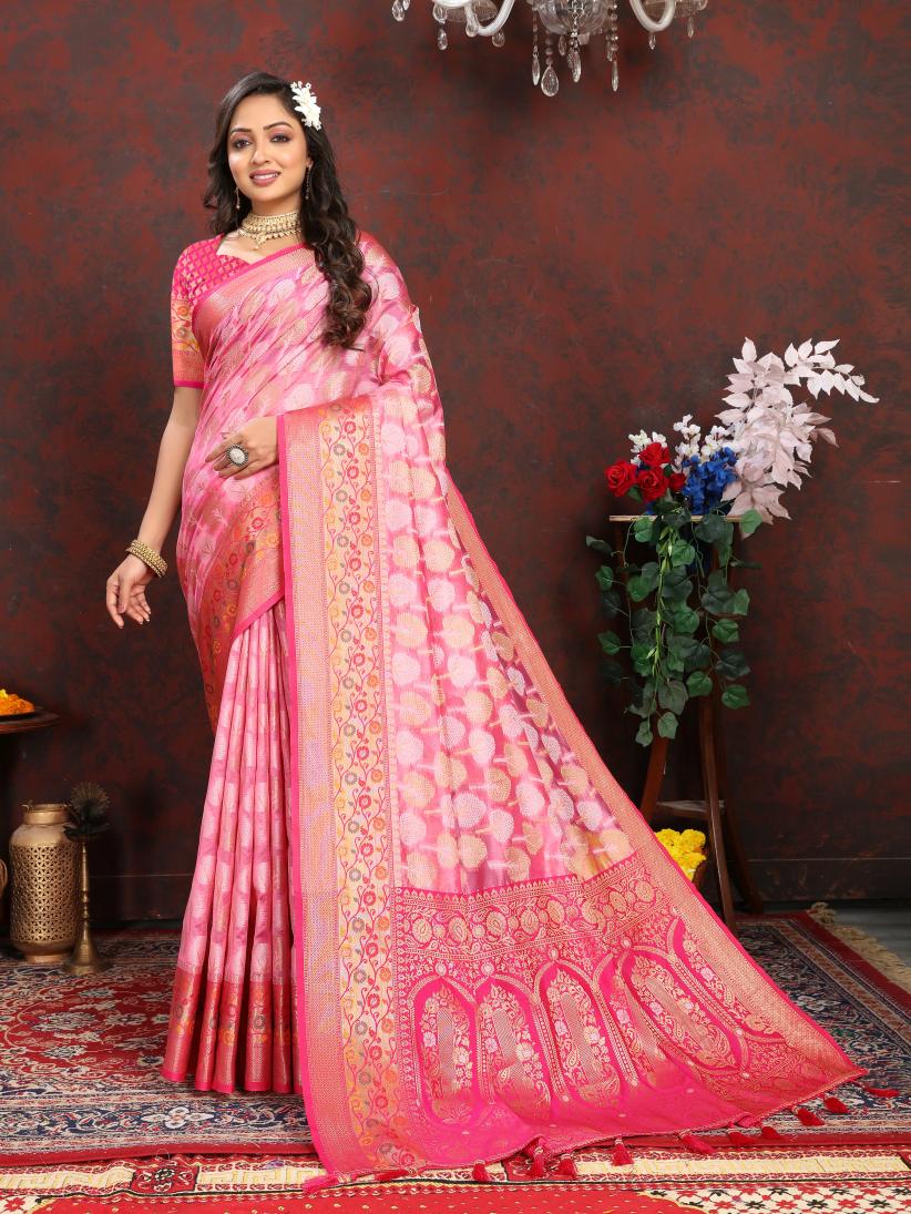 Catalog Designer Saree