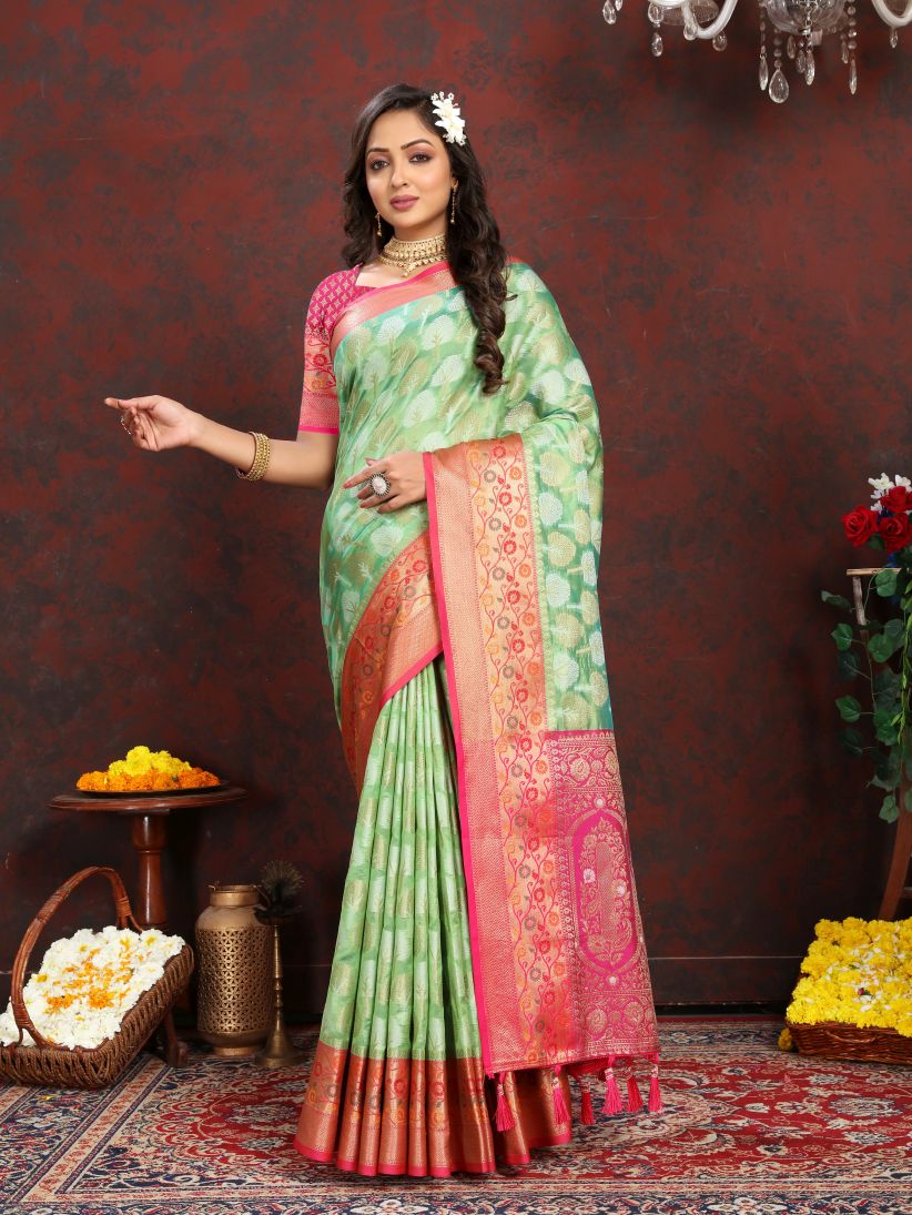 Catalog Designer Saree