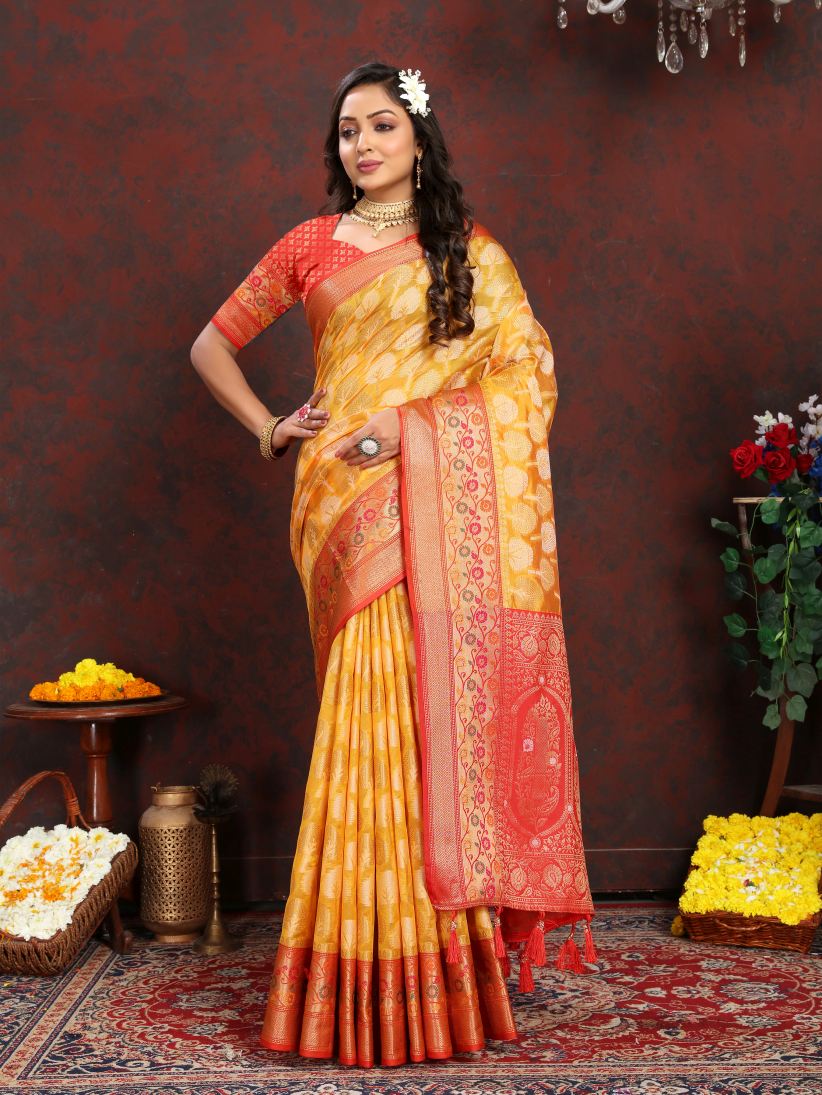 Catalog Designer Saree