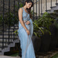 Catalog Designer Saree