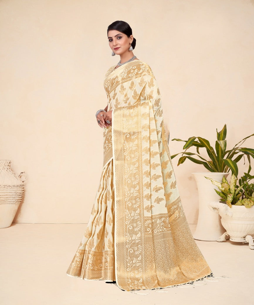 Catalog Designer Saree