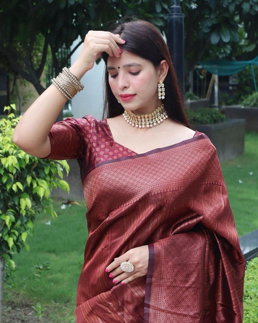 Catalog Designer Saree