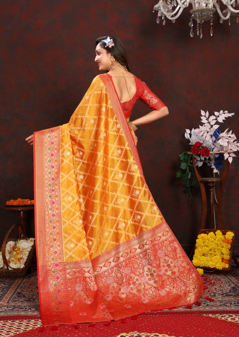 Catalog Designer Saree