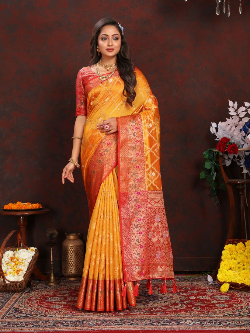 Catalog Designer Saree